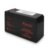 Купить Батарея для ИБП Powerman CA1290 PM/UPS (945918)