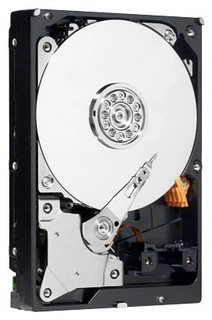 Купить Жесткий диск 750Gb Western Digital WD7500AARS