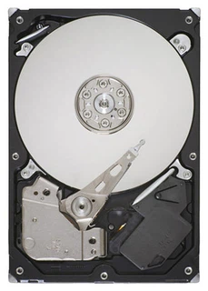 Жёсткий диск HDD 320 Gb SATA-II 300 Seagate 3320418AS