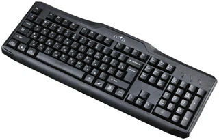 Купить Клавиатура Oklick 170M черный USB