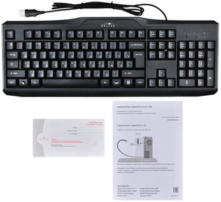 Купить Клавиатура Oklick 170M черный USB