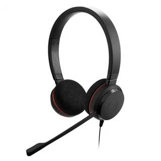 Купить Гарнитура проводная Jabra EVOLVE 20 MS Stereo RTL / USB-A /  {48} (016970)