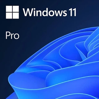 Операционная система Windows 11 Professional 64-bit English Int 1pk DSP OEI DVD лицензия с COA и носителем информации (FQC-10528)