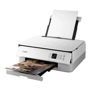 Купить Canon Pixma TS5351 (цвет белый, Wi-Fi, Печать, Копирование, Сканирование, Облако    До 4800 x 1200 т/д, 2 картриджа FINE (черный ицветной): PG-560 (черный), CL-561 (цветной))