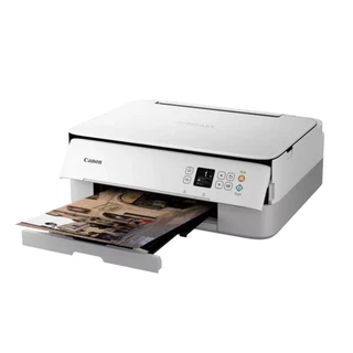 Купить Canon Pixma TS5351 (цвет белый, Wi-Fi, Печать, Копирование, Сканирование, Облако    До 4800 x 1200 т/д, 2 картриджа FINE (черный ицветной): PG-560 (черный), CL-561 (цветной))
